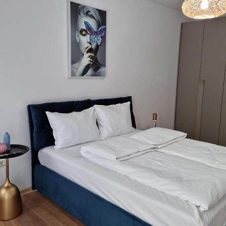 Sasu Apartment Temeşvar Dış mekan fotoğraf