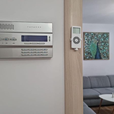 Sasu Apartment Temeşvar Dış mekan fotoğraf