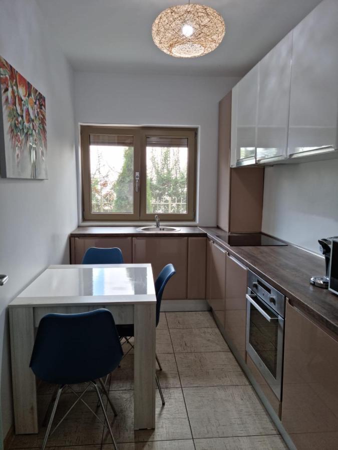 Sasu Apartment Temeşvar Dış mekan fotoğraf