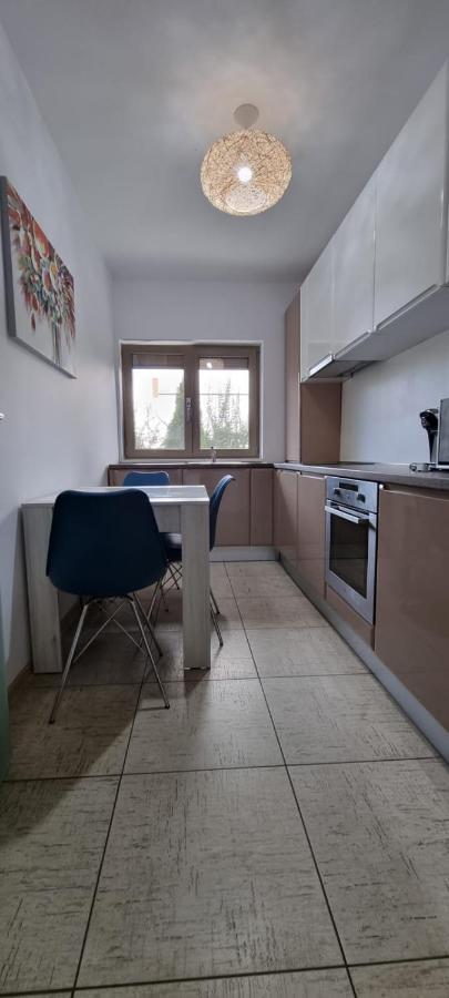 Sasu Apartment Temeşvar Dış mekan fotoğraf