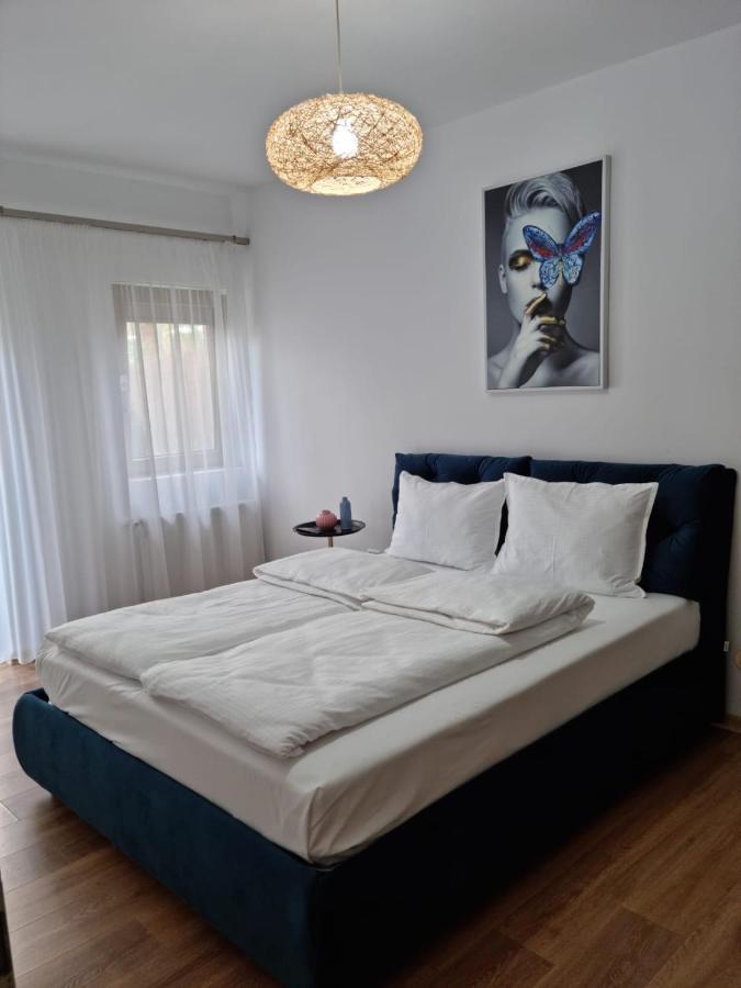 Sasu Apartment Temeşvar Dış mekan fotoğraf