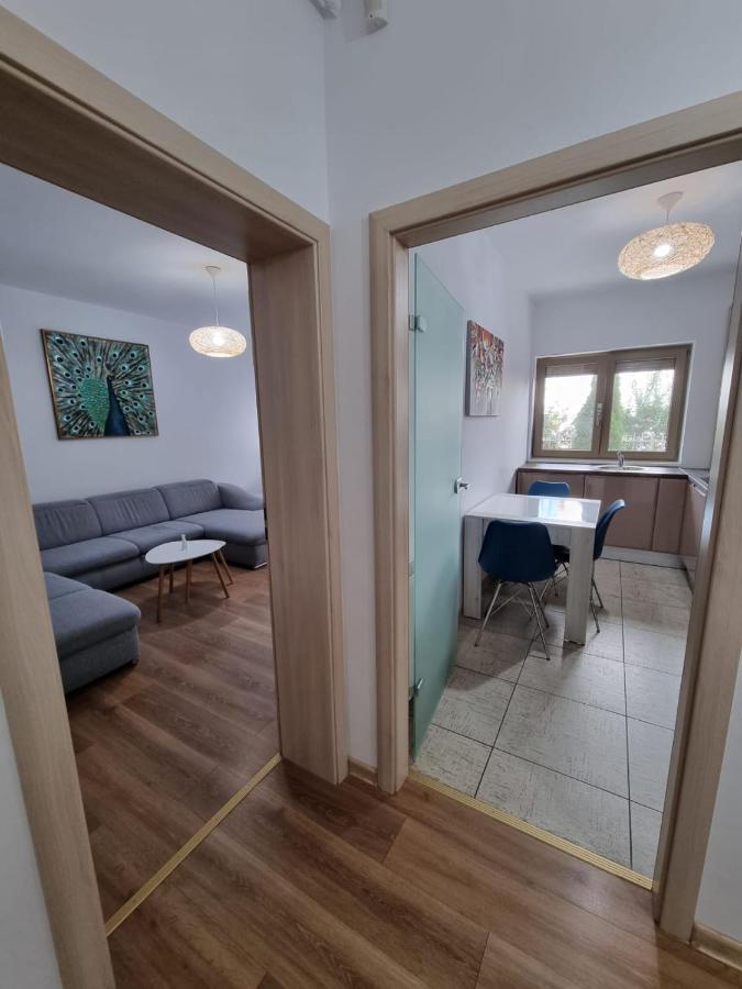 Sasu Apartment Temeşvar Dış mekan fotoğraf