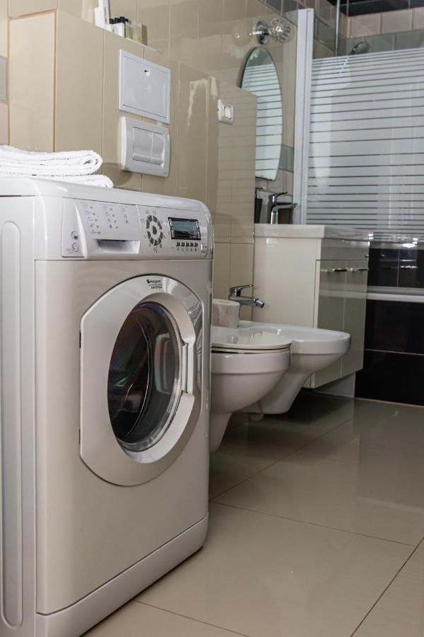 Sasu Apartment Temeşvar Dış mekan fotoğraf