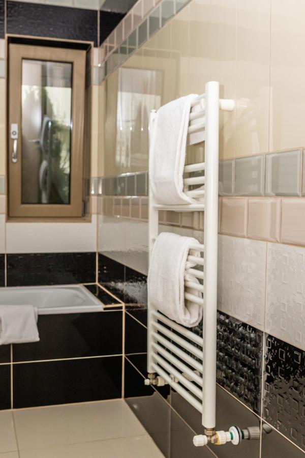 Sasu Apartment Temeşvar Dış mekan fotoğraf