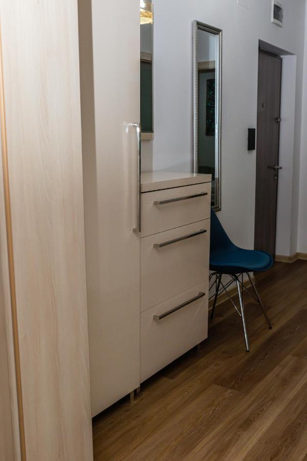 Sasu Apartment Temeşvar Dış mekan fotoğraf