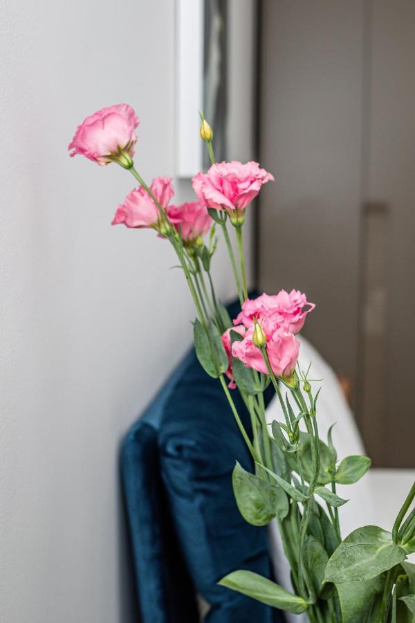 Sasu Apartment Temeşvar Dış mekan fotoğraf
