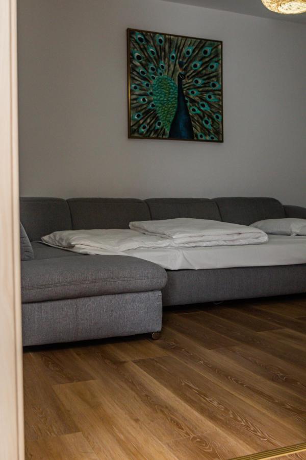 Sasu Apartment Temeşvar Dış mekan fotoğraf