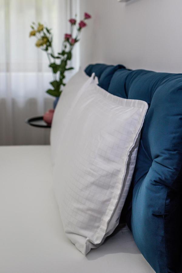 Sasu Apartment Temeşvar Dış mekan fotoğraf